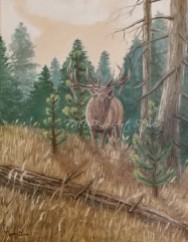 Elk Bugle This was my first animal oil painting. It is a 8"x10" painting of an elk bugling in a meadow just outside a pine tree forest.